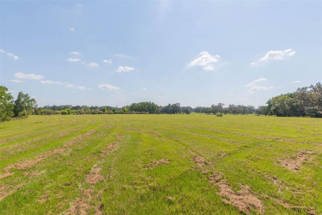 16225 Bellamy Brothers Boulevard, Dade City, FL 33525 Photo