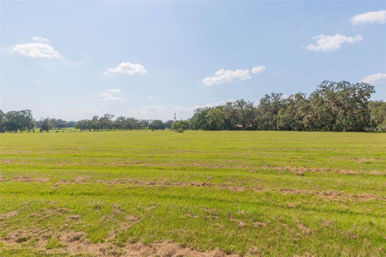 16225 Bellamy Brothers Boulevard, Dade City, FL 33525 Photo