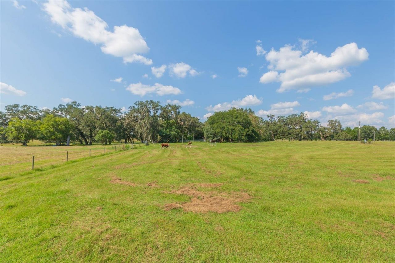 16225 Bellamy Brothers Boulevard, Dade City, FL 33525 Photo