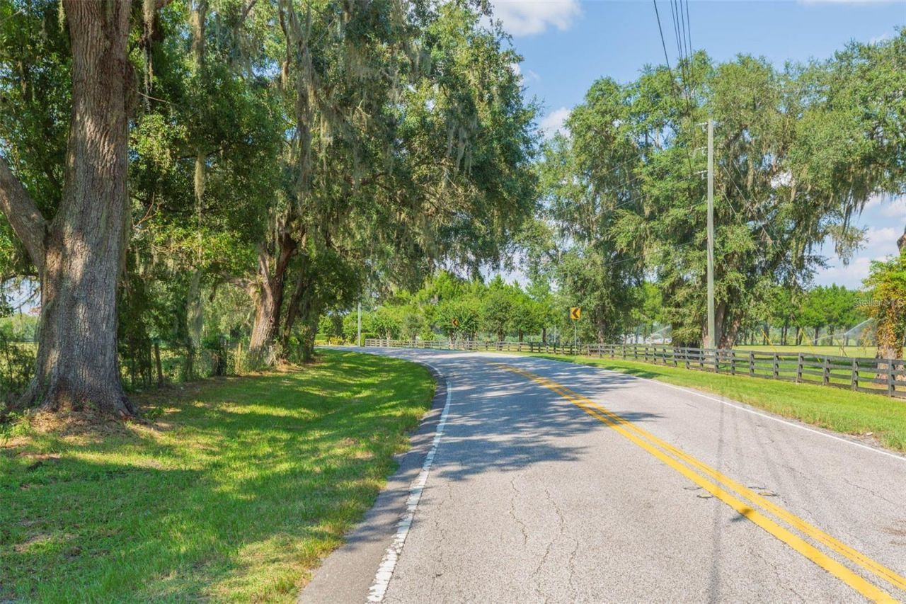 16225 Bellamy Brothers Boulevard, Dade City, FL 33525 Photo