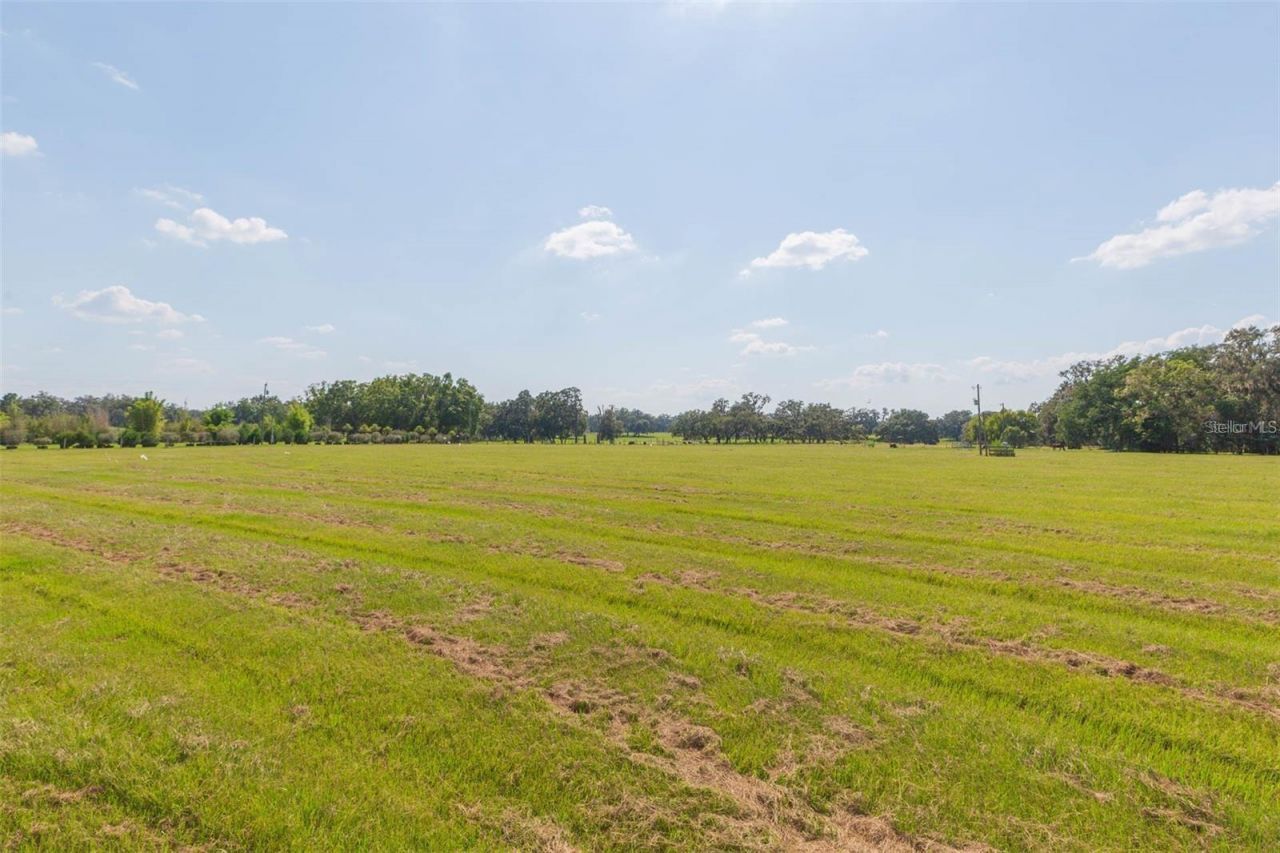 16225 Bellamy Brothers Boulevard, Dade City, FL 33525 Photo