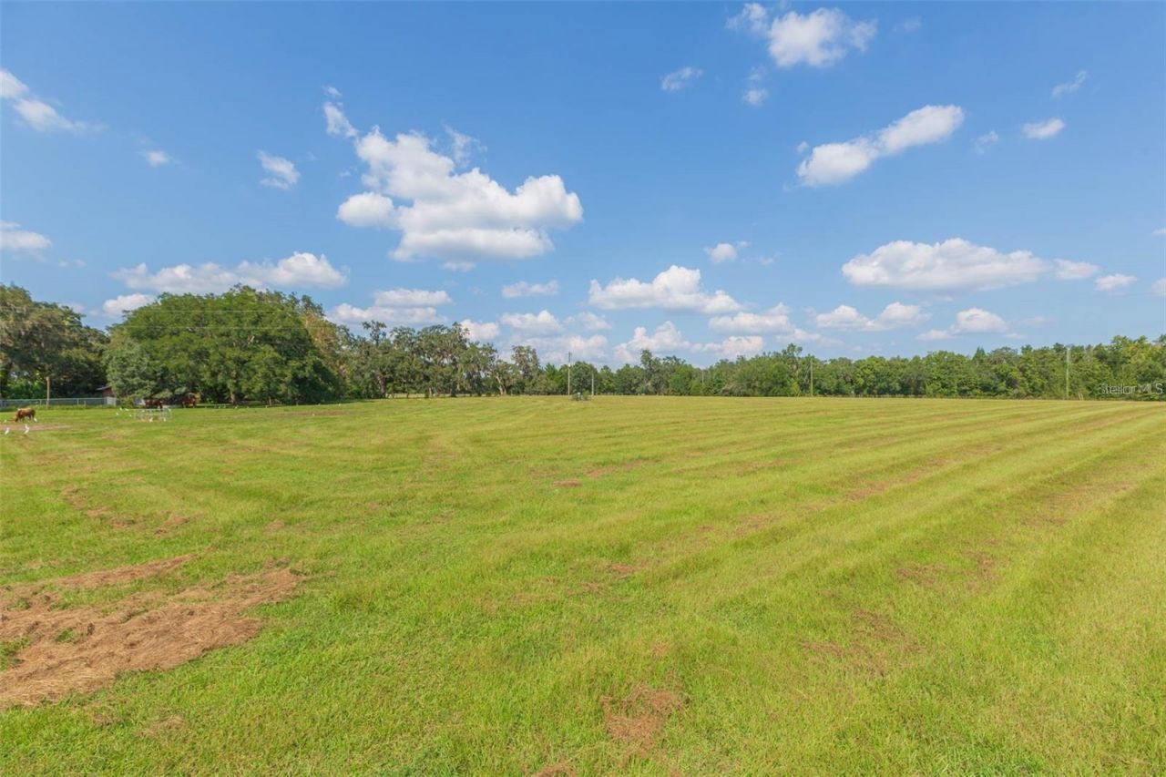 16225 Bellamy Brothers Boulevard, Dade City, FL 33525 Photo