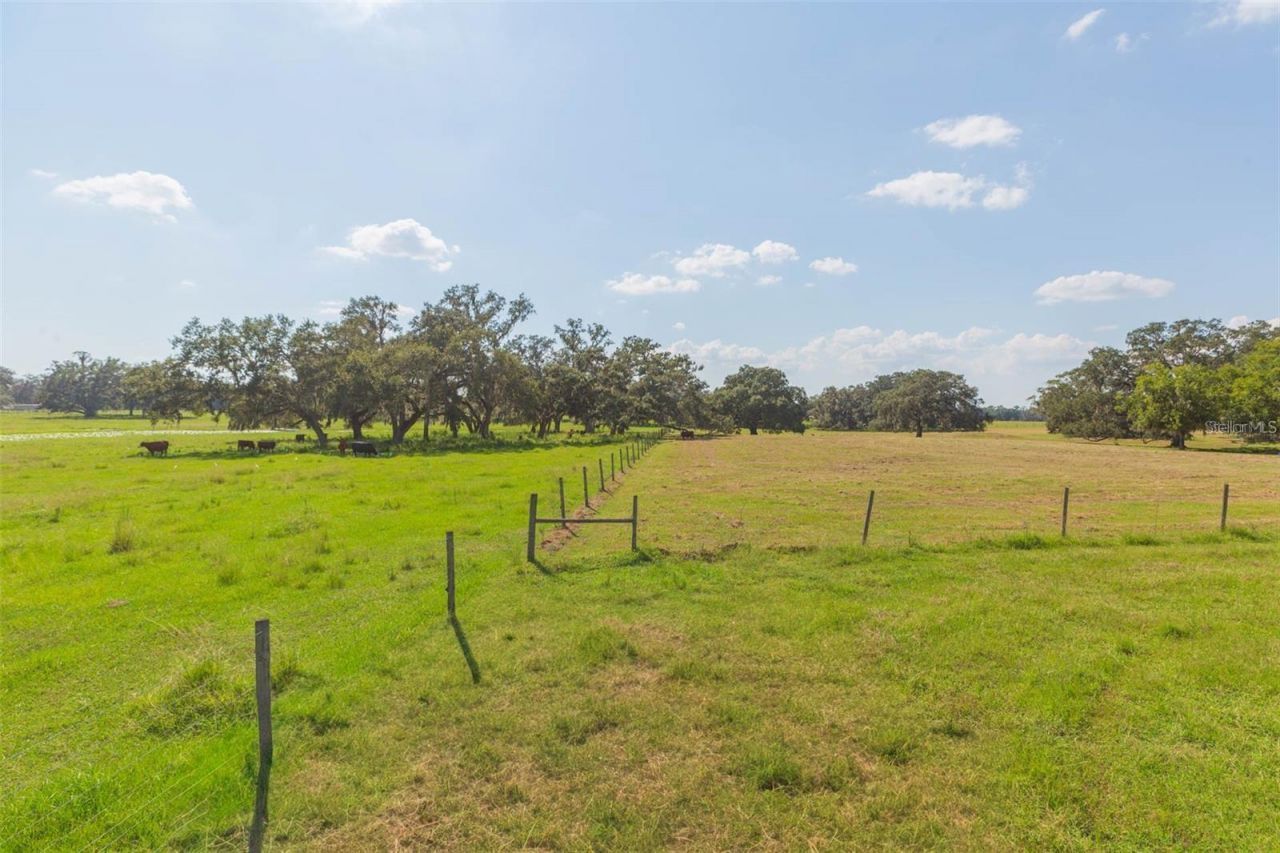 16225 Bellamy Brothers Boulevard, Dade City, FL 33525 Photo