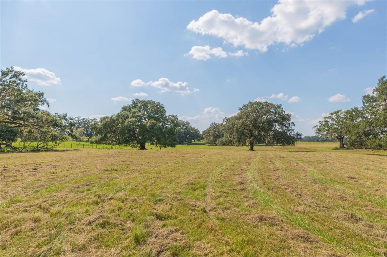 16225 Bellamy Brothers Boulevard, Dade City, FL 33525 Photo