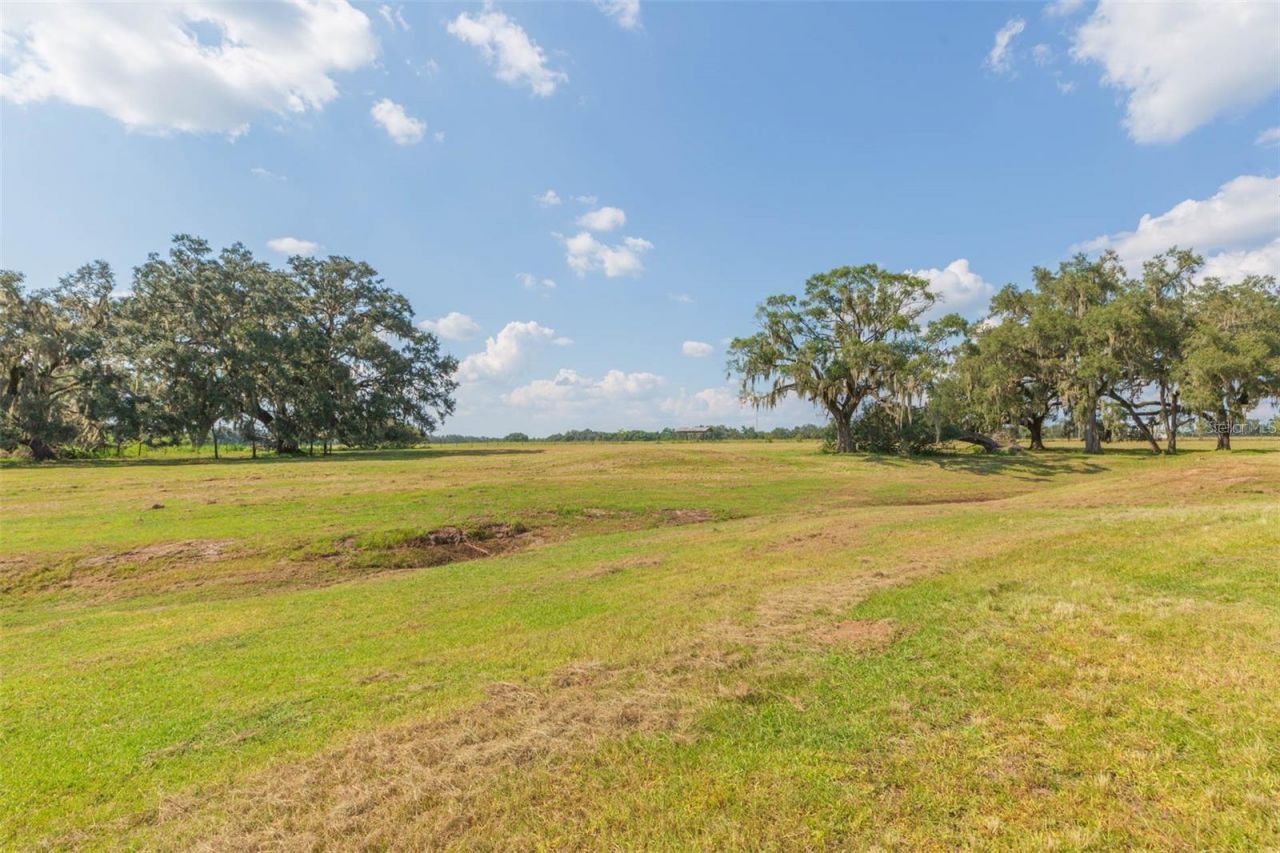 16225 Bellamy Brothers Boulevard, Dade City, FL 33525 Photo