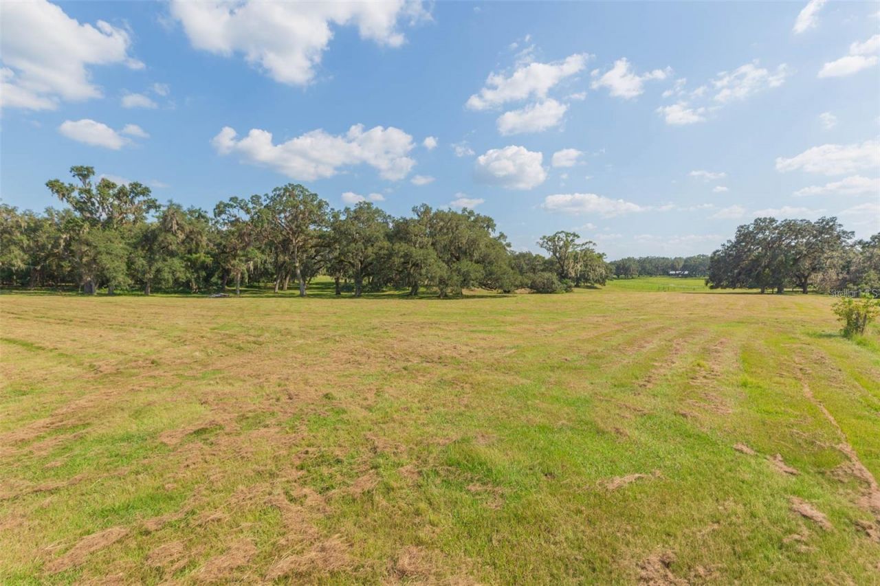 16225 Bellamy Brothers Boulevard, Dade City, FL 33525 Photo