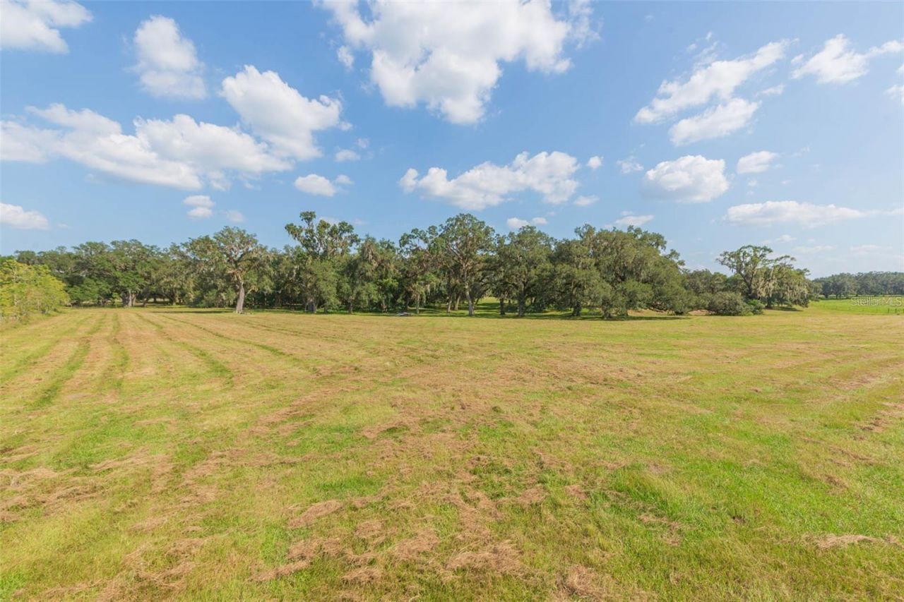 16225 Bellamy Brothers Boulevard, Dade City, FL 33525 Photo