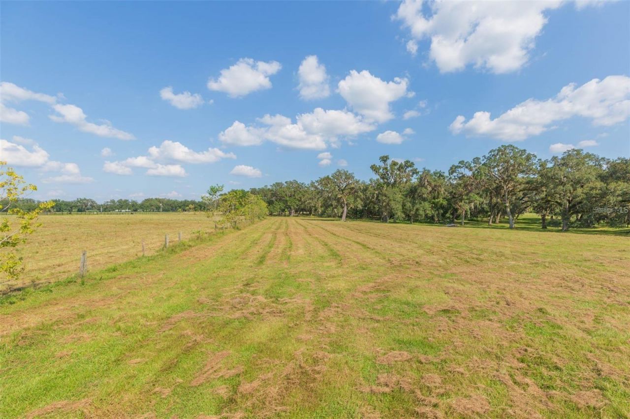 16225 Bellamy Brothers Boulevard, Dade City, FL 33525 Photo