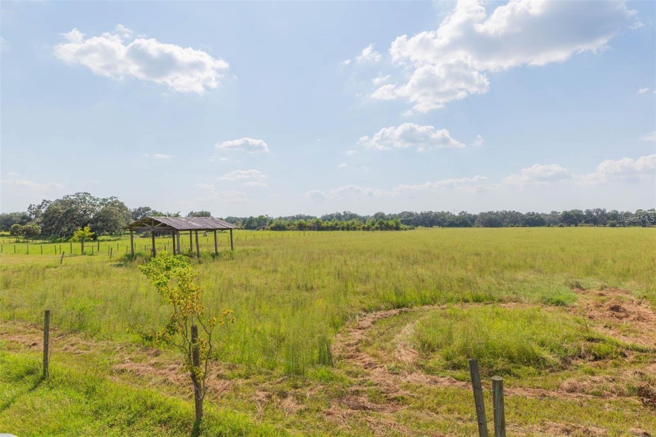 16225 Bellamy Brothers Boulevard, Dade City, FL 33525 Photo
