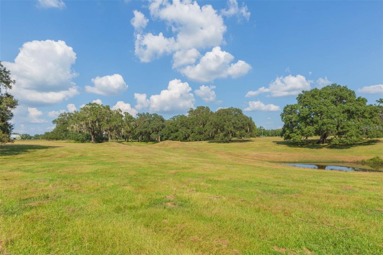 16225 Bellamy Brothers Boulevard, Dade City, FL 33525 Photo