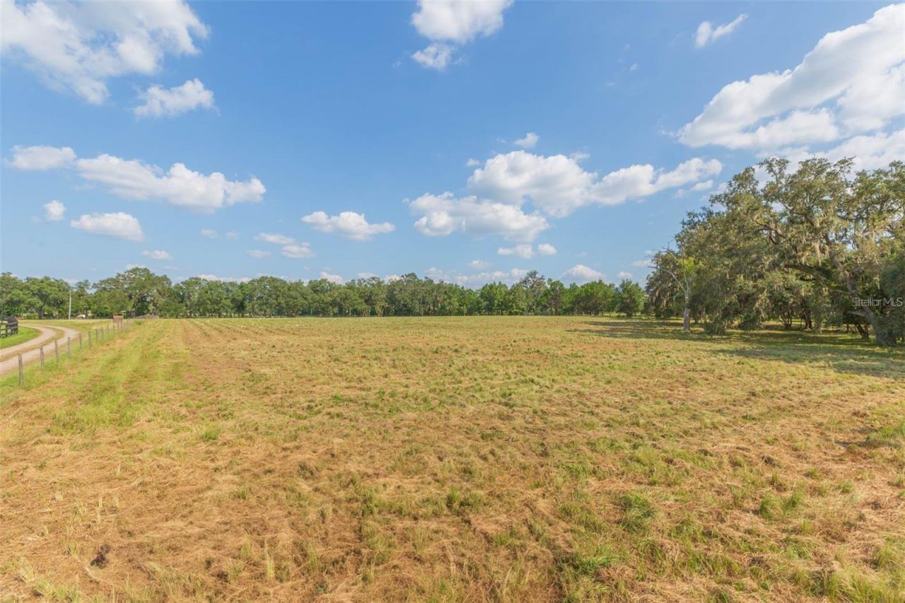 16225 Bellamy Brothers Boulevard, Dade City, FL 33525 Photo