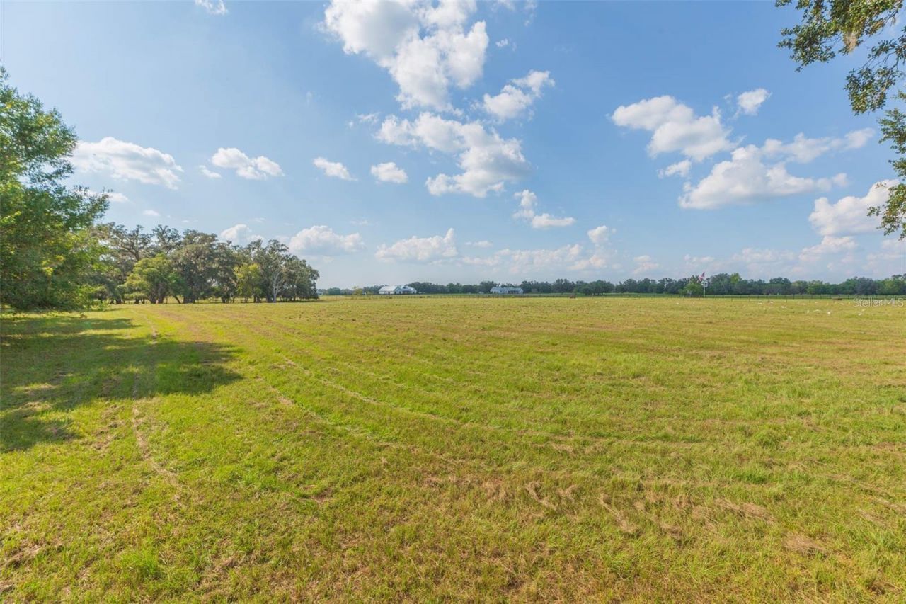 16225 Bellamy Brothers Boulevard, Dade City, FL 33525 Photo