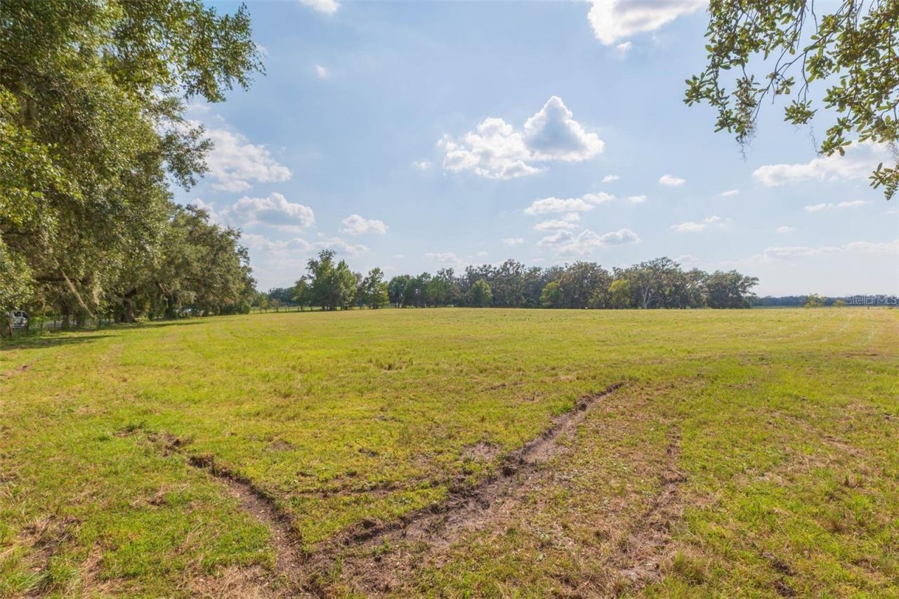 16225 Bellamy Brothers Boulevard, Dade City, FL 33525 Photo