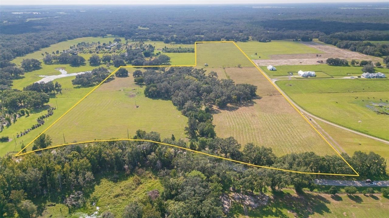 16225 Bellamy Brothers Boulevard, Dade City, FL 33525 Photo