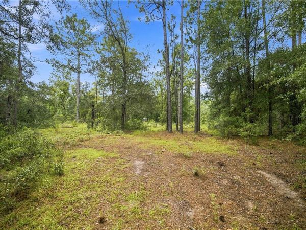 21350 SE 66TH STREET , MORRISTON, FL 32668