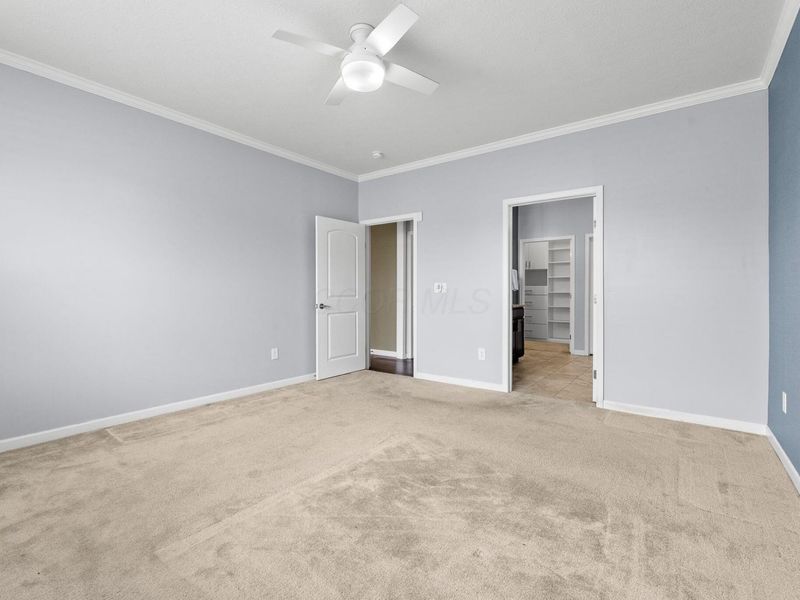 5370 Black Maple Drive, Westerville, OH 43081 Photo 17