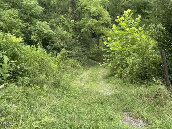 Tbd Pocahontas Trail, Meadowview, VA 24361