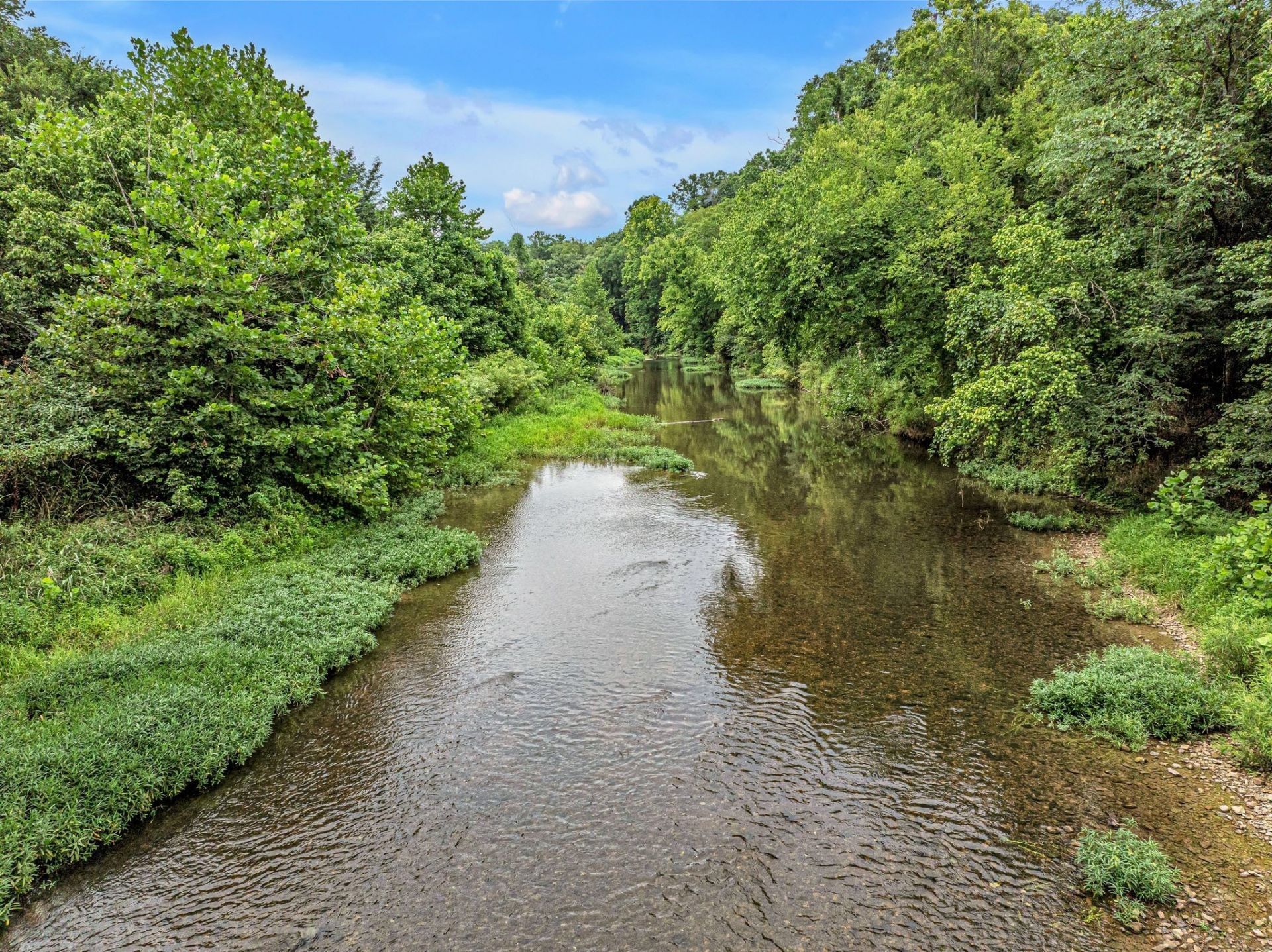 1259 Petty Road , White Bluff, TN 37187 Main Photo