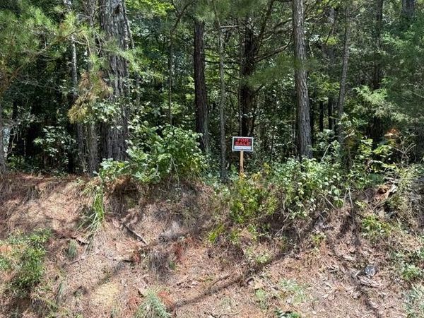 0 Iron Hill Road Lot 1 , Taylorsville, GA 30178