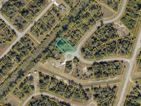 PEALE LOT #9 COURT, NORTH PORT, FL 34288