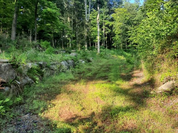 5968 STATE PARK ROAD , PIPERSVILLE, PA 18947