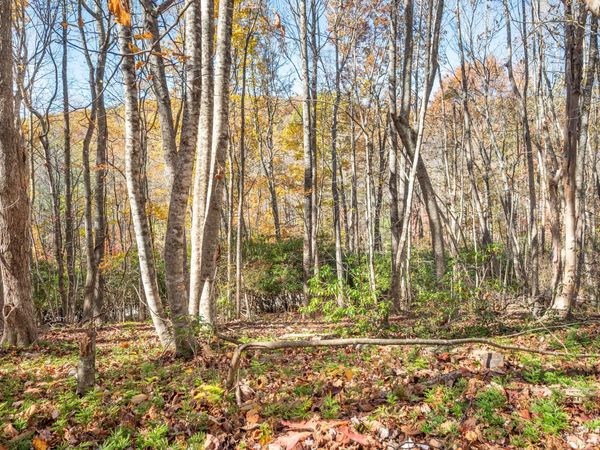 857 Phadettia RD SW, Willis, VA 24380