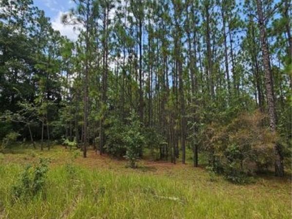 6869 Spice Pond Road , Eight Mile, AL 36613