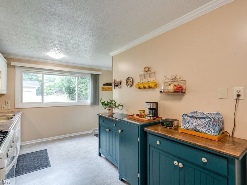 4033 State Road, Akron, OH 44319 Photo 14
