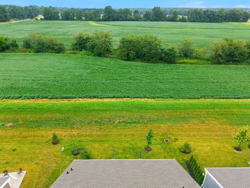 1385 Goldwell Drive, Sunbury, OH 43074 Photo 53