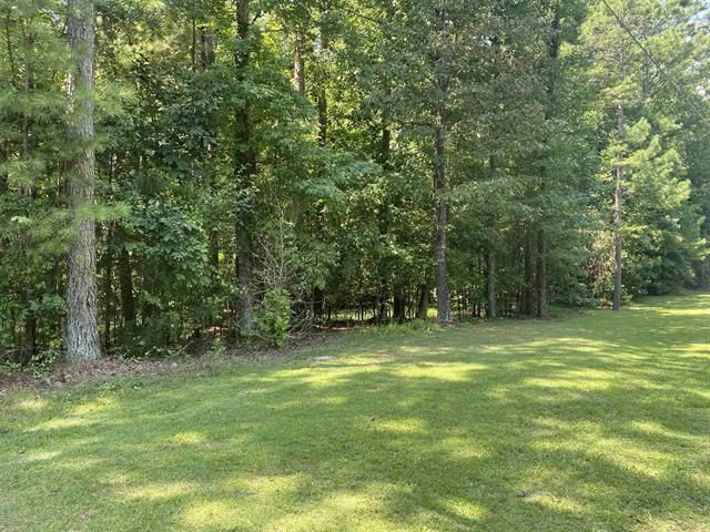 173 Sandpiper Pt, Counce, TN 38326 Main Photo