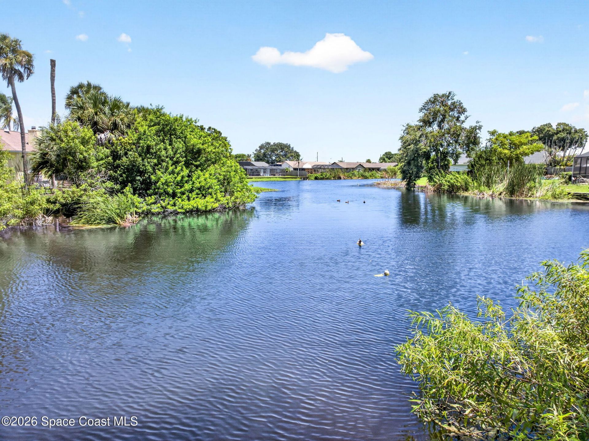 2860 Raintree Lake Circle S, Merritt Island, FL 32953 Photo