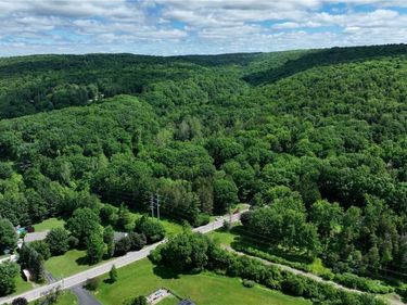 6383 Omphalius Road, Colden, NY 14033