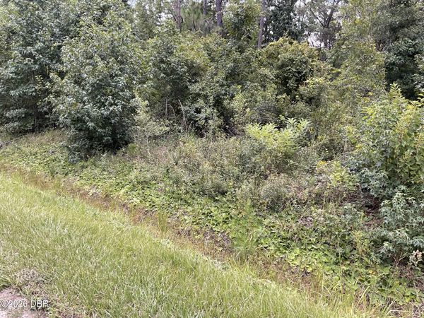 10210 Vaughan Avenue, Hastings, FL 32145
