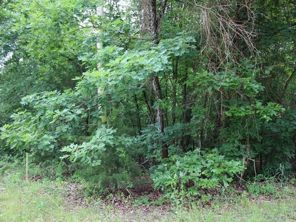 001-09520-000 Hwy 178 , Lakeview, AR 72642