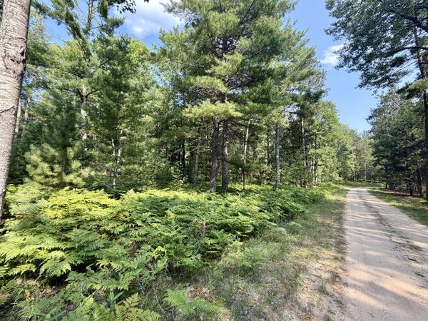 6 Acres Nature Ridge Trail, Vanderbilt, MI 49795