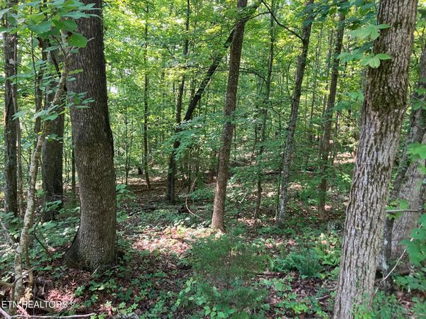 Lot 1 Tumbling Run Rd, Maynardville, TN 37807