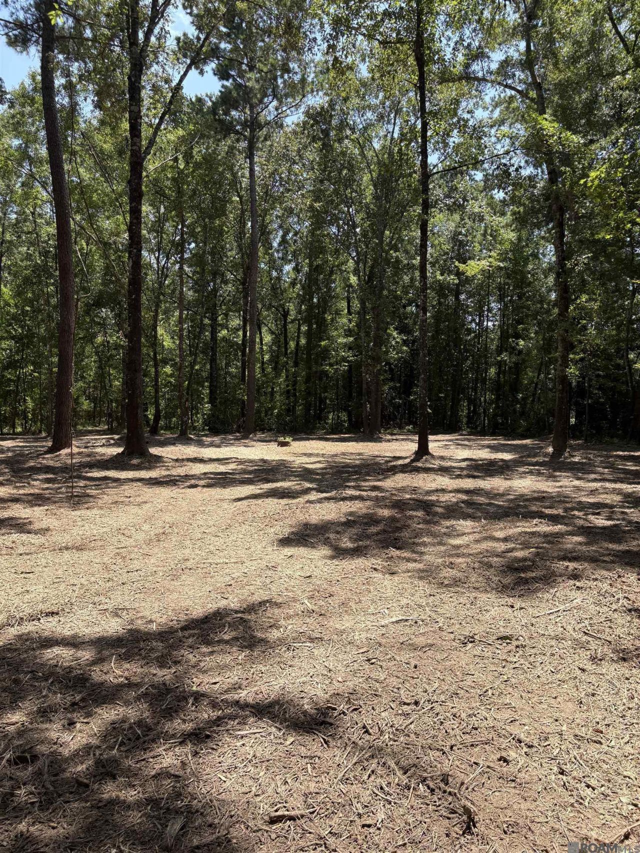 23686 La Hwy 442, Independence, LA 70443 Main Photo