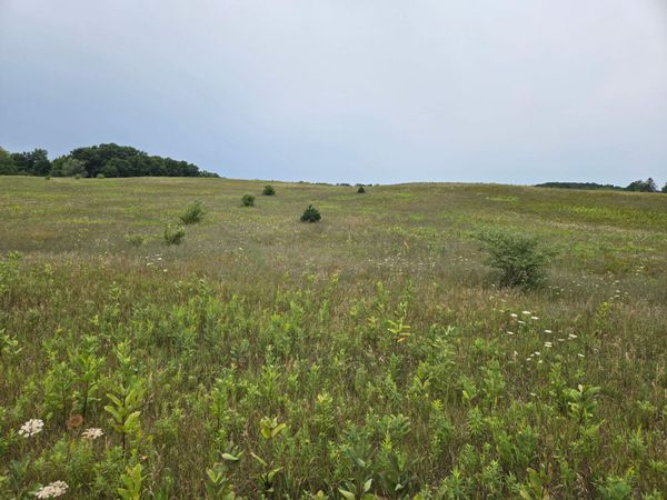 Parcel G Water Road, Hart, MI 49420