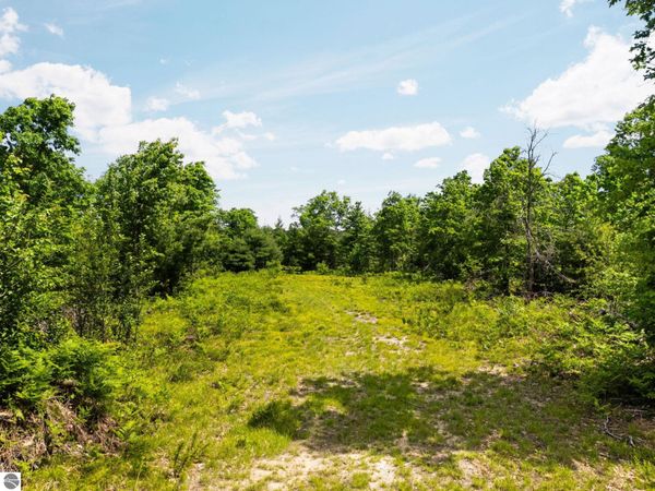 4011 Forest Road W, Lake City, MI 49651