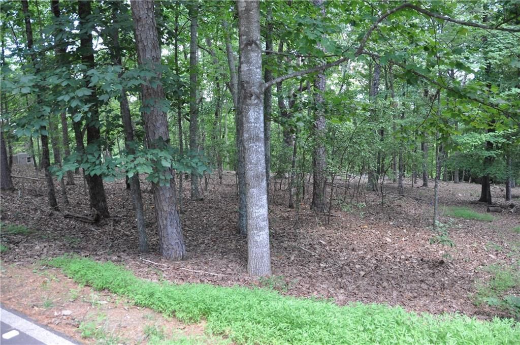 2468 Wedgewood Drive , Big Canoe, GA 30143 Main Photo