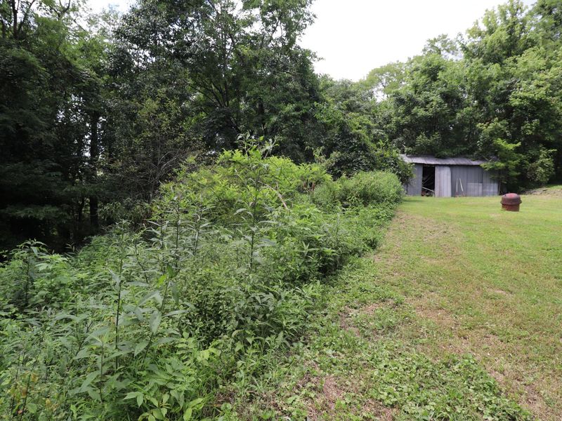 354 Garrett Avenue, Brooksville, KY 41004 Photo 13