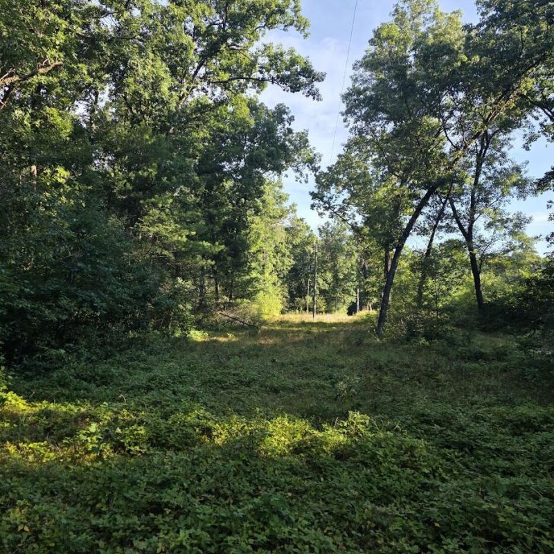S Outaway Drive, Newaygo, MI 49337 Main Photo