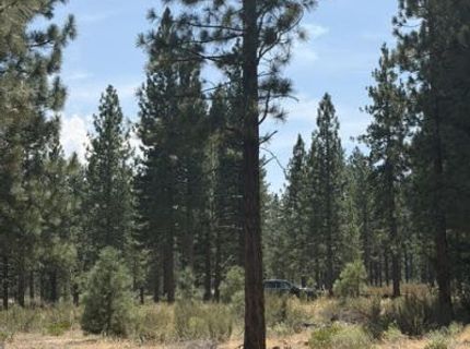 144 Redding Way, Lot #349, Carson City, NV 89705 Photo