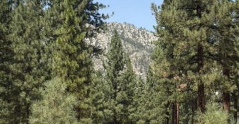 144 Redding Way, Lot #349, Carson City, NV 89705 Photo