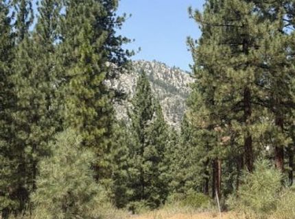 144 Redding Way, Lot #349, Carson City, NV 89705 Photo