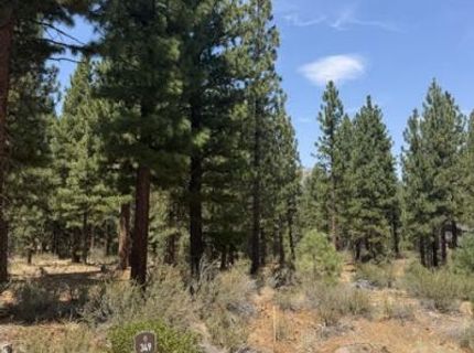 144 Redding Way, Lot #349, Carson City, NV 89705 Photo