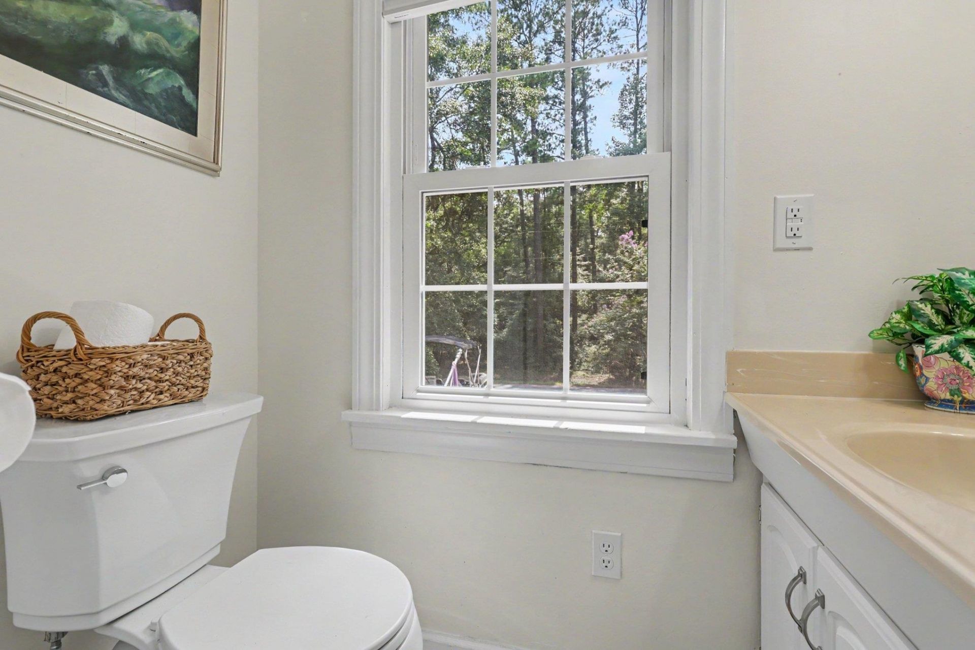 515 River Rd. Photo 23
