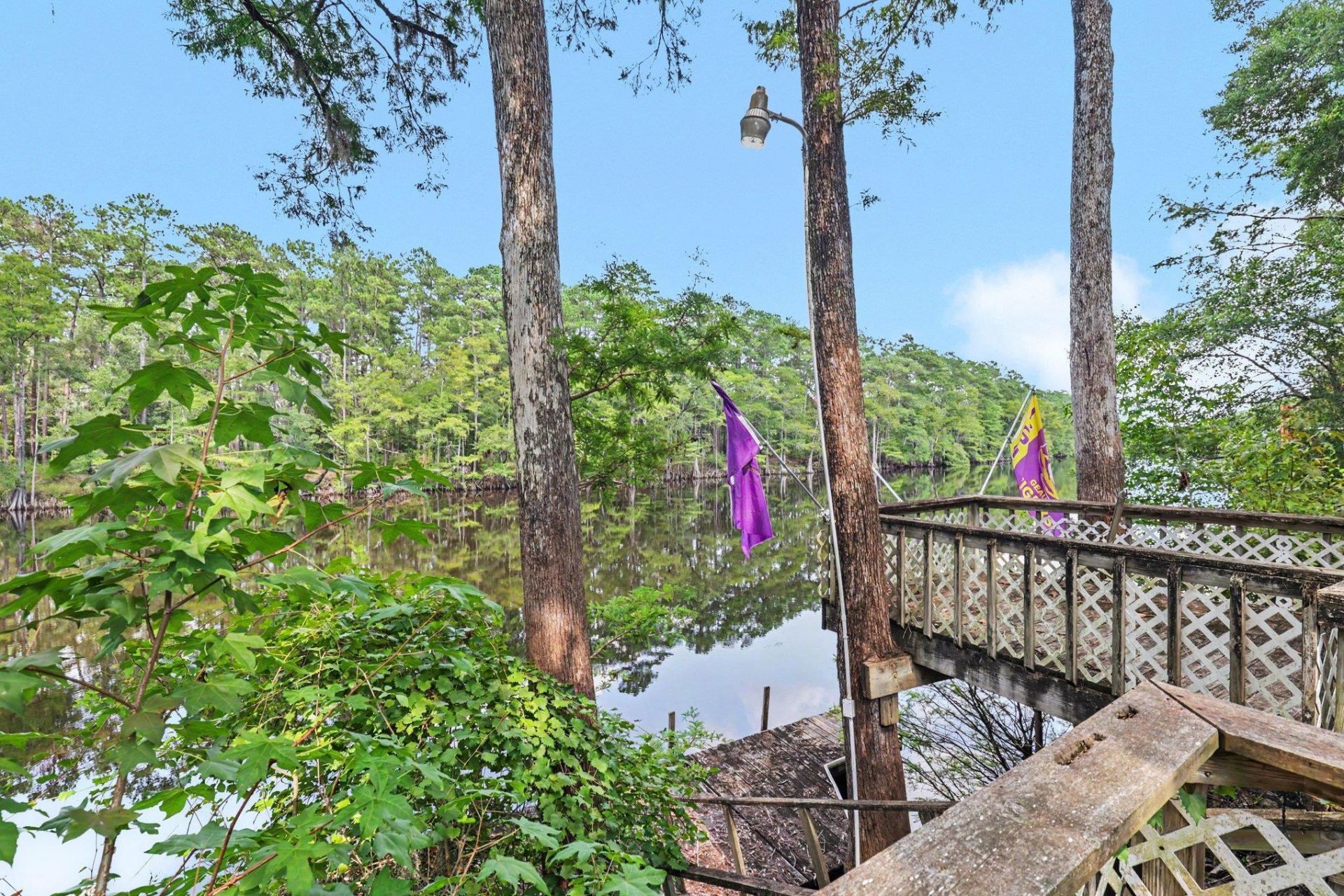 515 River Rd. Photo 43