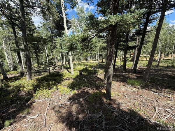 167 Big Bear Road , Manitou Springs, CO 80829