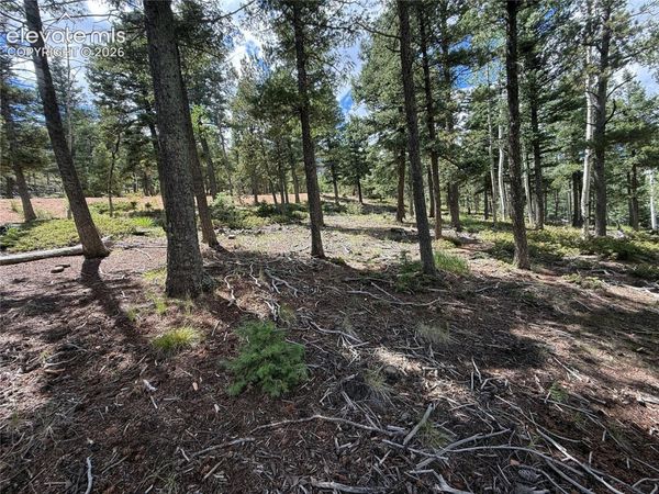 167 Big Bear Road, Manitou Springs, CO 80829